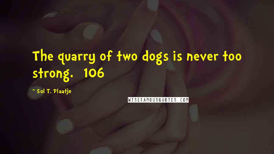 Sol T. Plaatje Quotes: The quarry of two dogs is never too strong. [106]