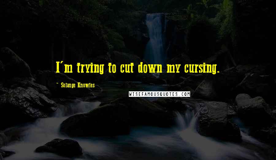 Solange Knowles Quotes: I'm trying to cut down my cursing.