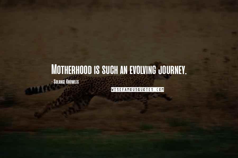 Solange Knowles Quotes: Motherhood is such an evolving journey.