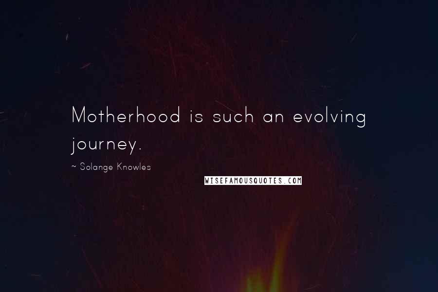 Solange Knowles Quotes: Motherhood is such an evolving journey.