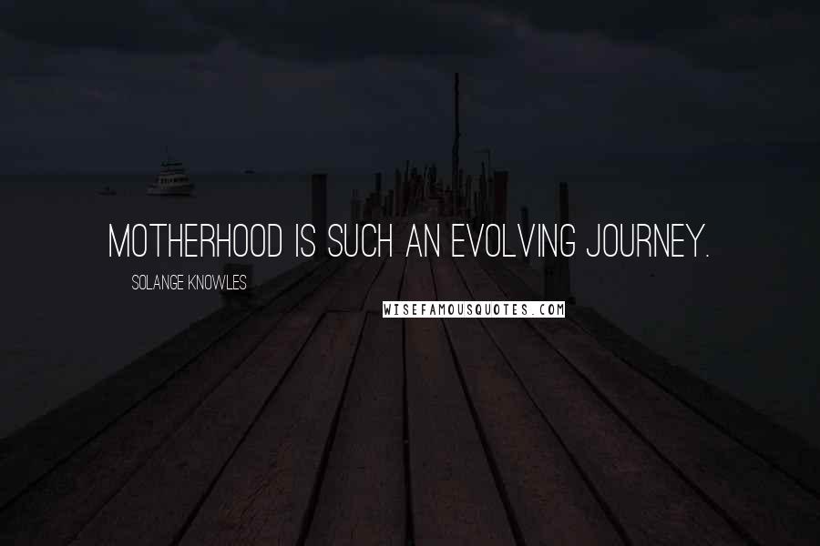 Solange Knowles Quotes: Motherhood is such an evolving journey.