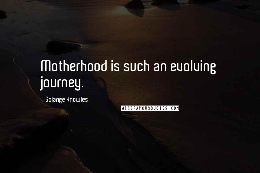Solange Knowles Quotes: Motherhood is such an evolving journey.