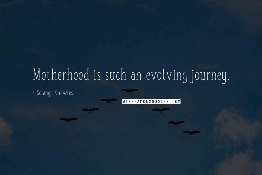 Solange Knowles Quotes: Motherhood is such an evolving journey.