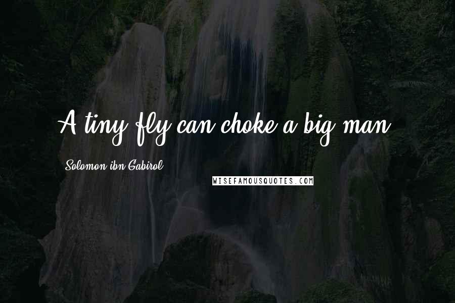 Solomon Ibn Gabirol Quotes: A tiny fly can choke a big man.