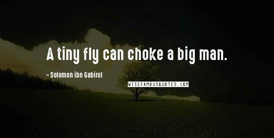 Solomon Ibn Gabirol Quotes: A tiny fly can choke a big man.