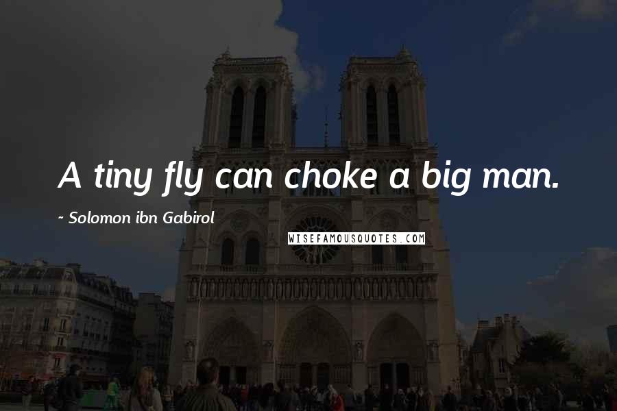 Solomon Ibn Gabirol Quotes: A tiny fly can choke a big man.