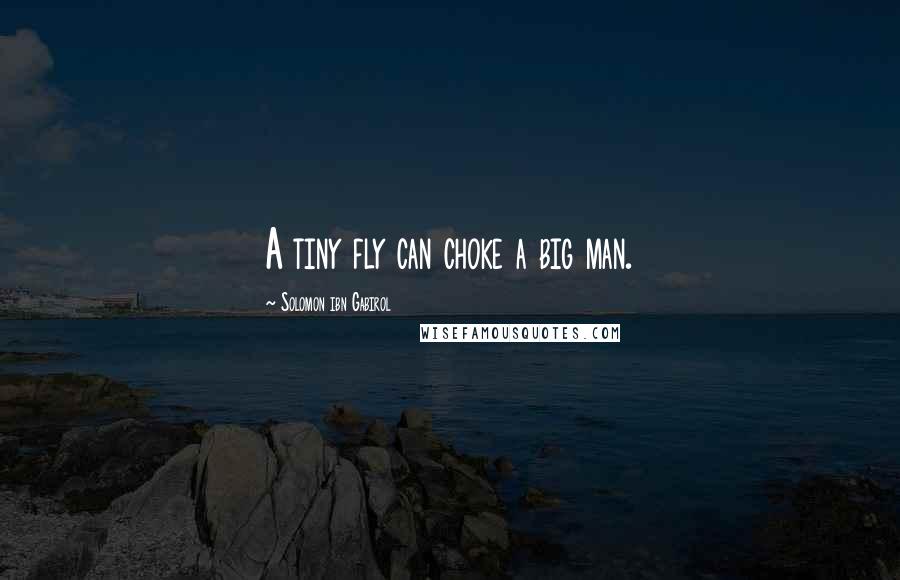 Solomon Ibn Gabirol Quotes: A tiny fly can choke a big man.