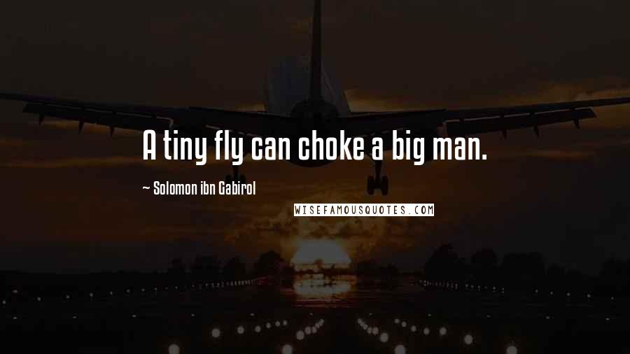 Solomon Ibn Gabirol Quotes: A tiny fly can choke a big man.