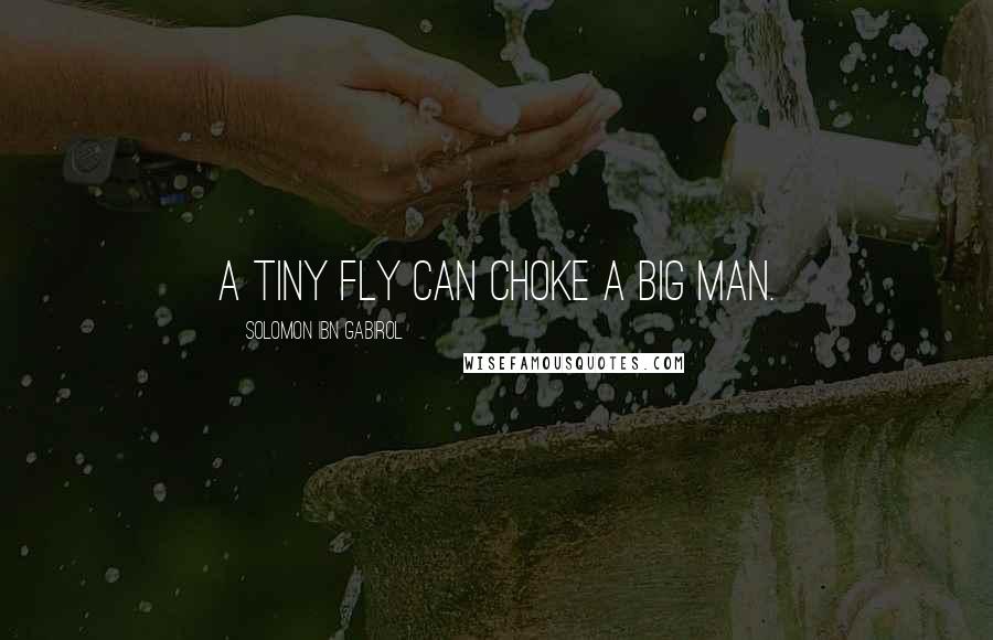 Solomon Ibn Gabirol Quotes: A tiny fly can choke a big man.