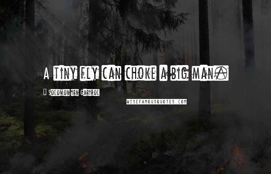 Solomon Ibn Gabirol Quotes: A tiny fly can choke a big man.