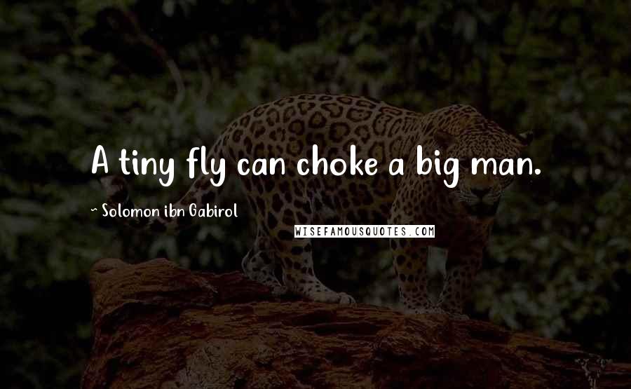 Solomon Ibn Gabirol Quotes: A tiny fly can choke a big man.