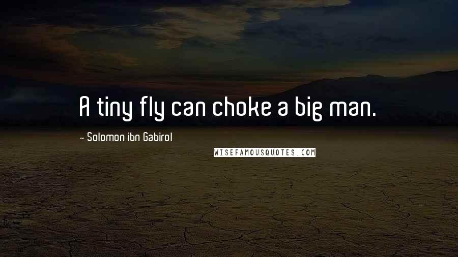 Solomon Ibn Gabirol Quotes: A tiny fly can choke a big man.