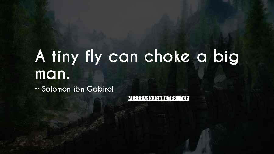 Solomon Ibn Gabirol Quotes: A tiny fly can choke a big man.