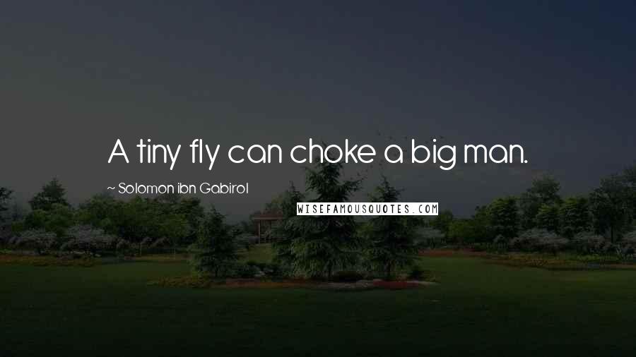 Solomon Ibn Gabirol Quotes: A tiny fly can choke a big man.