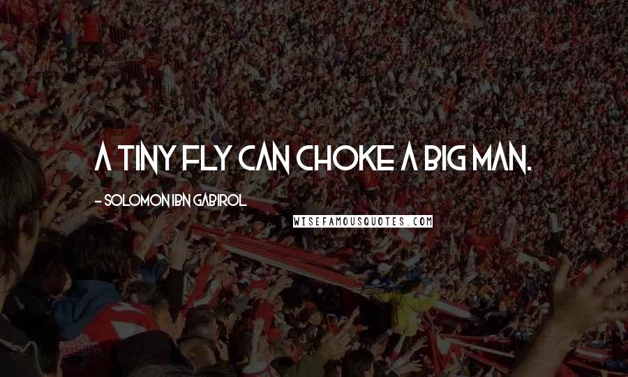 Solomon Ibn Gabirol Quotes: A tiny fly can choke a big man.