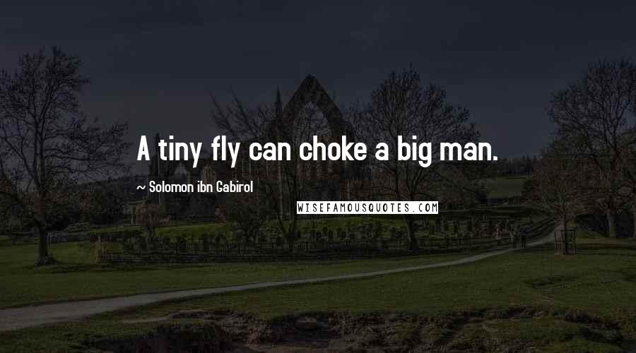 Solomon Ibn Gabirol Quotes: A tiny fly can choke a big man.