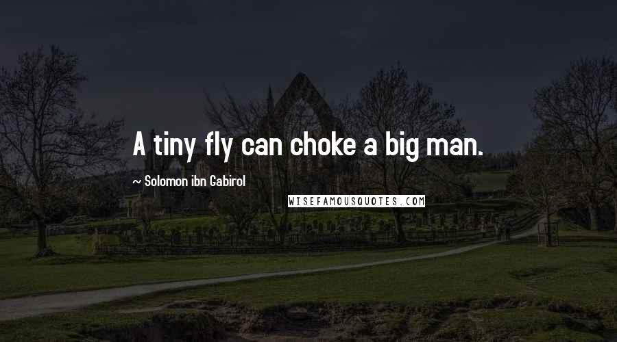 Solomon Ibn Gabirol Quotes: A tiny fly can choke a big man.