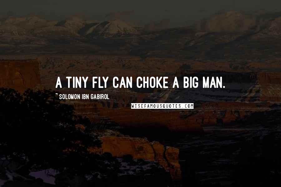 Solomon Ibn Gabirol Quotes: A tiny fly can choke a big man.