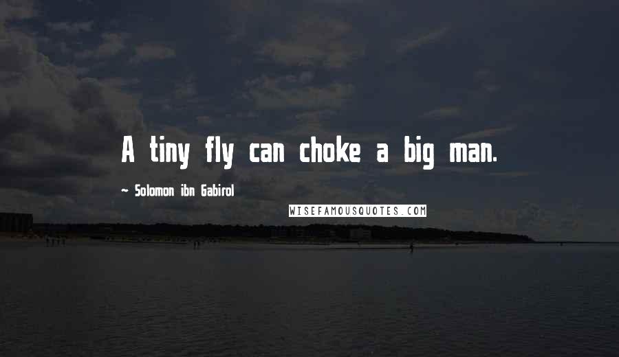 Solomon Ibn Gabirol Quotes: A tiny fly can choke a big man.