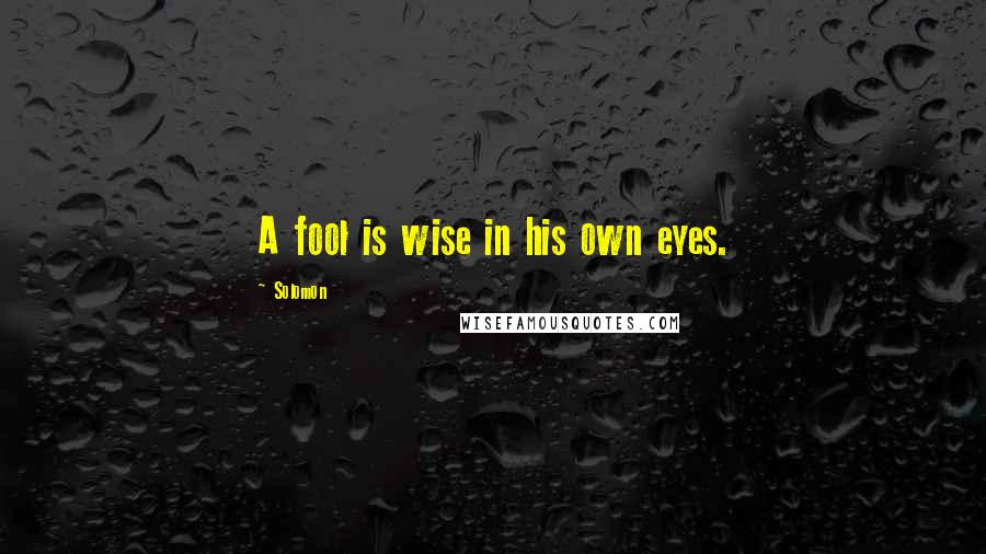 Solomon Quotes: A fool is wise in his own eyes.