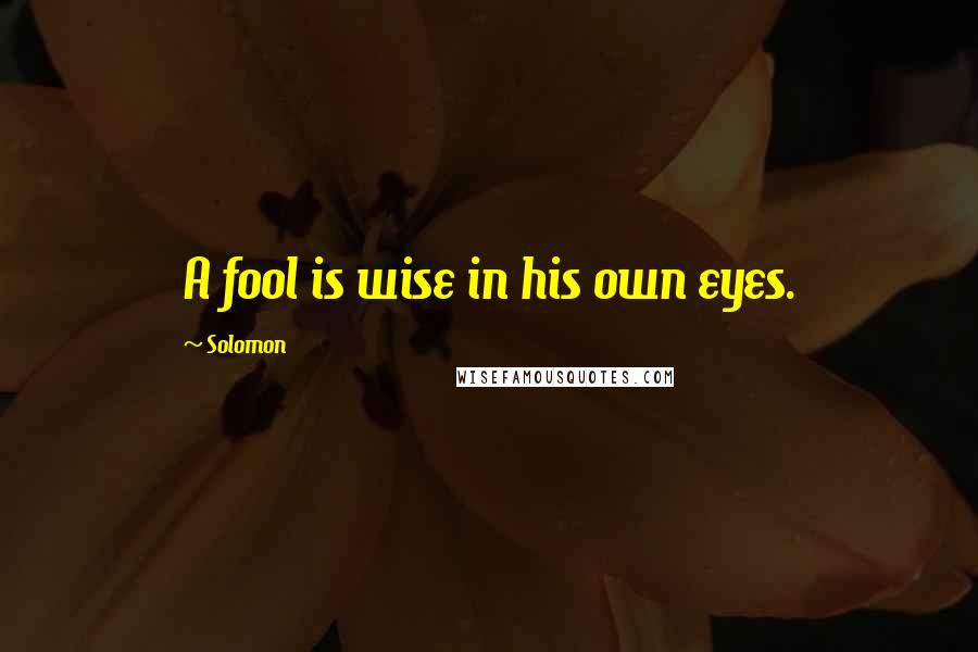 Solomon Quotes: A fool is wise in his own eyes.
