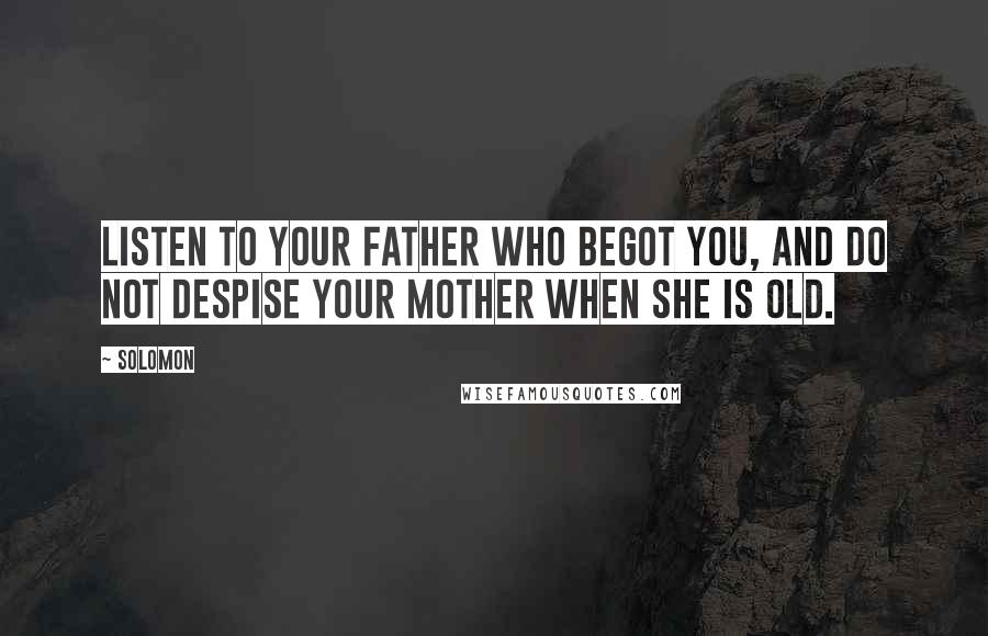 Solomon Quotes: Listen to your father who begot you, And do not despise your mother when she is old.