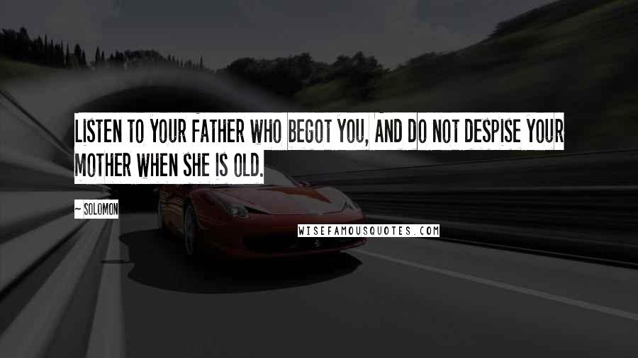 Solomon Quotes: Listen to your father who begot you, And do not despise your mother when she is old.