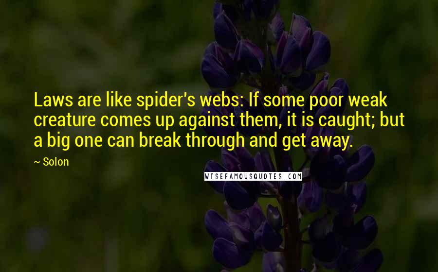 Solon Quotes: Laws are like spider's webs: If some poor weak creature comes up against them, it is caught; but a big one can break through and get away.