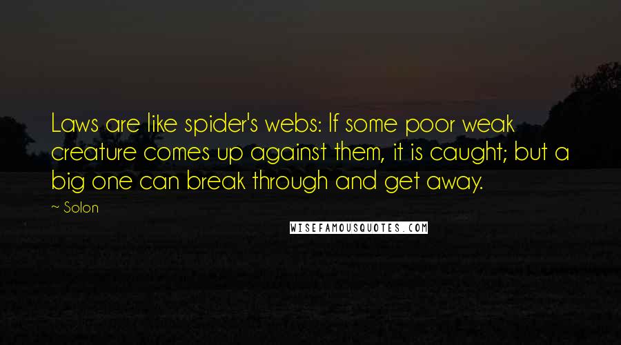 Solon Quotes: Laws are like spider's webs: If some poor weak creature comes up against them, it is caught; but a big one can break through and get away.