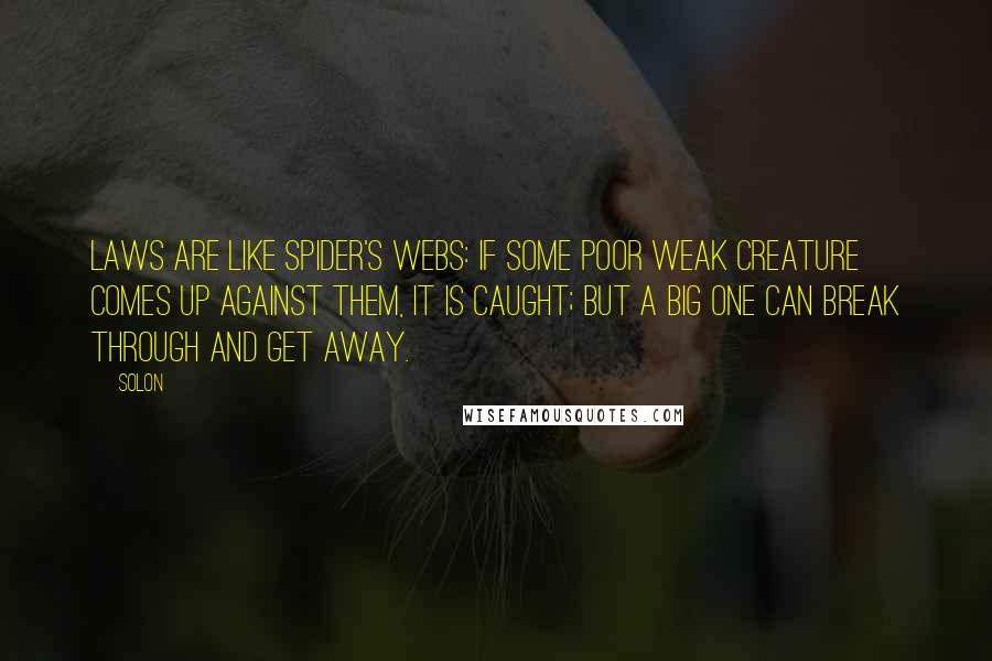 Solon Quotes: Laws are like spider's webs: If some poor weak creature comes up against them, it is caught; but a big one can break through and get away.