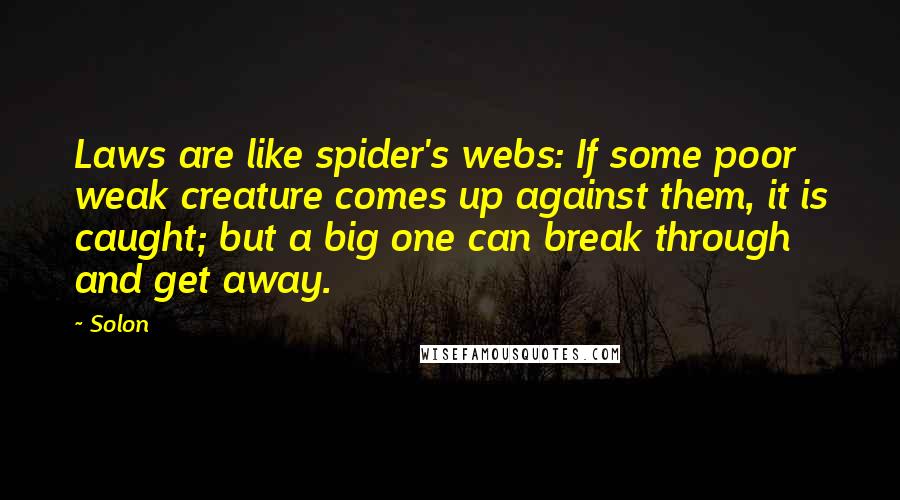 Solon Quotes: Laws are like spider's webs: If some poor weak creature comes up against them, it is caught; but a big one can break through and get away.