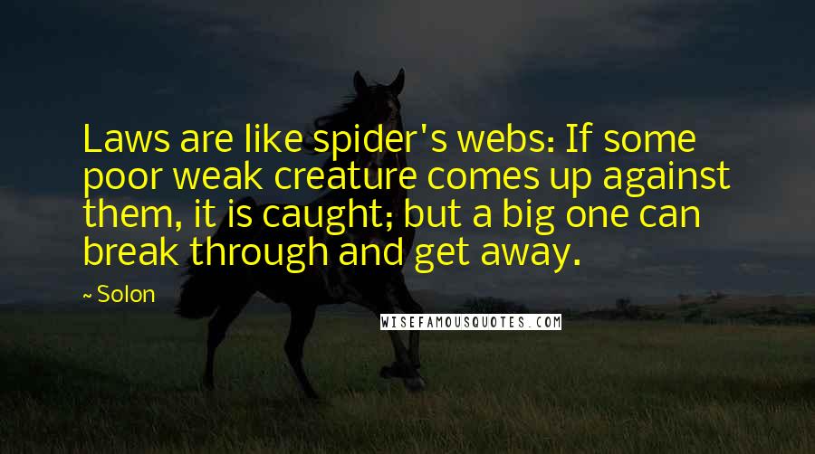 Solon Quotes: Laws are like spider's webs: If some poor weak creature comes up against them, it is caught; but a big one can break through and get away.