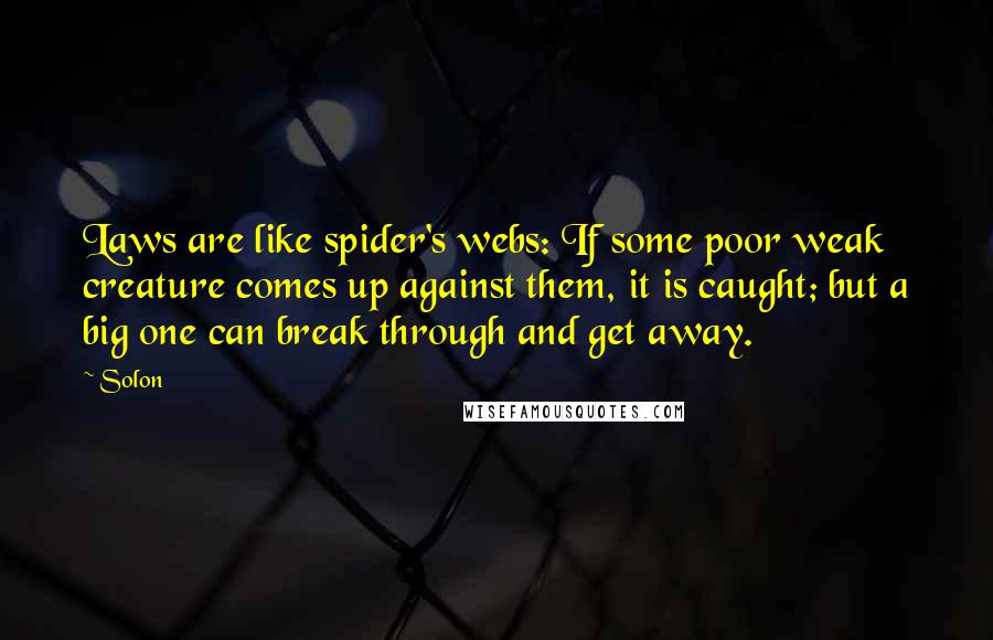 Solon Quotes: Laws are like spider's webs: If some poor weak creature comes up against them, it is caught; but a big one can break through and get away.