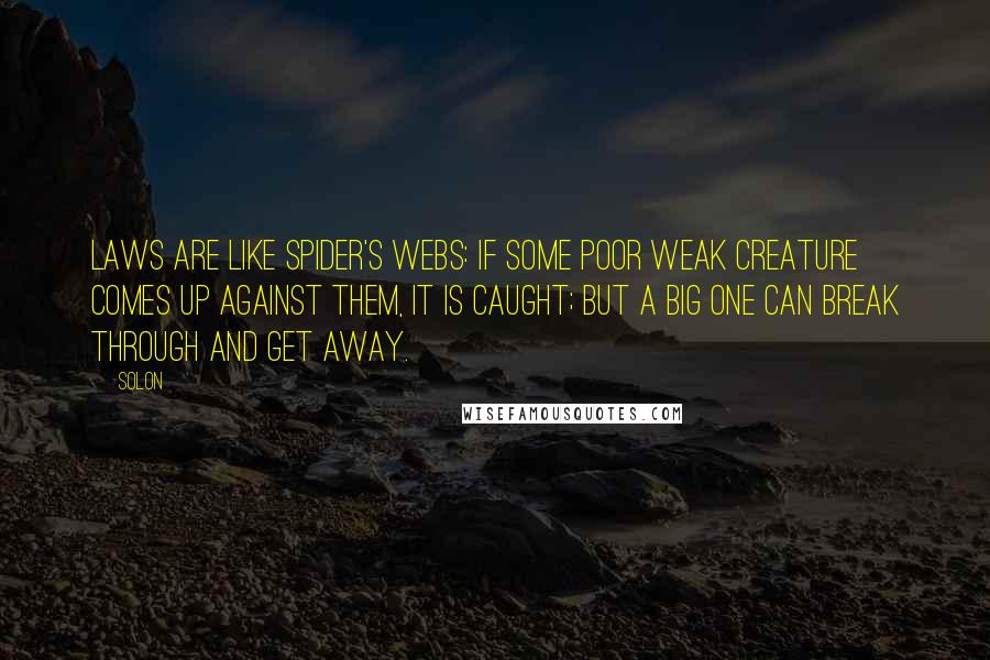 Solon Quotes: Laws are like spider's webs: If some poor weak creature comes up against them, it is caught; but a big one can break through and get away.