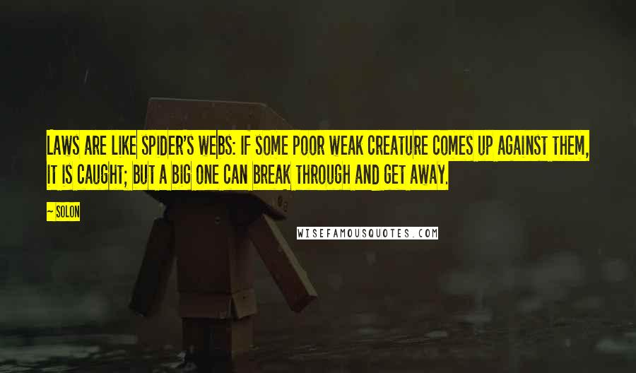 Solon Quotes: Laws are like spider's webs: If some poor weak creature comes up against them, it is caught; but a big one can break through and get away.