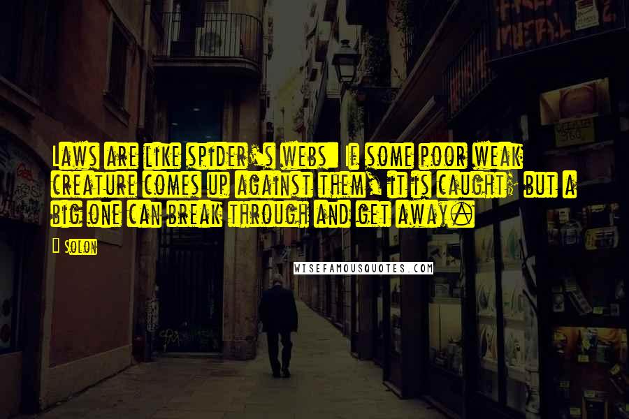 Solon Quotes: Laws are like spider's webs: If some poor weak creature comes up against them, it is caught; but a big one can break through and get away.