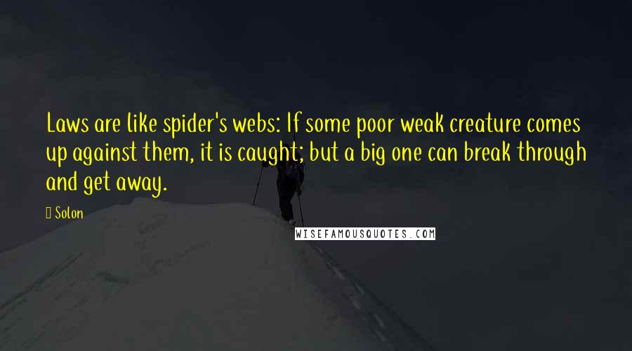 Solon Quotes: Laws are like spider's webs: If some poor weak creature comes up against them, it is caught; but a big one can break through and get away.