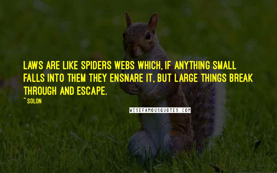 Solon Quotes: Laws are like spiders webs which, if anything small falls into them they ensnare it, but large things break through and escape.