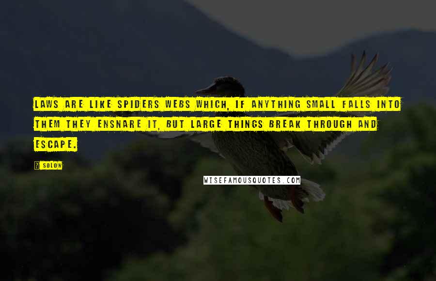 Solon Quotes: Laws are like spiders webs which, if anything small falls into them they ensnare it, but large things break through and escape.