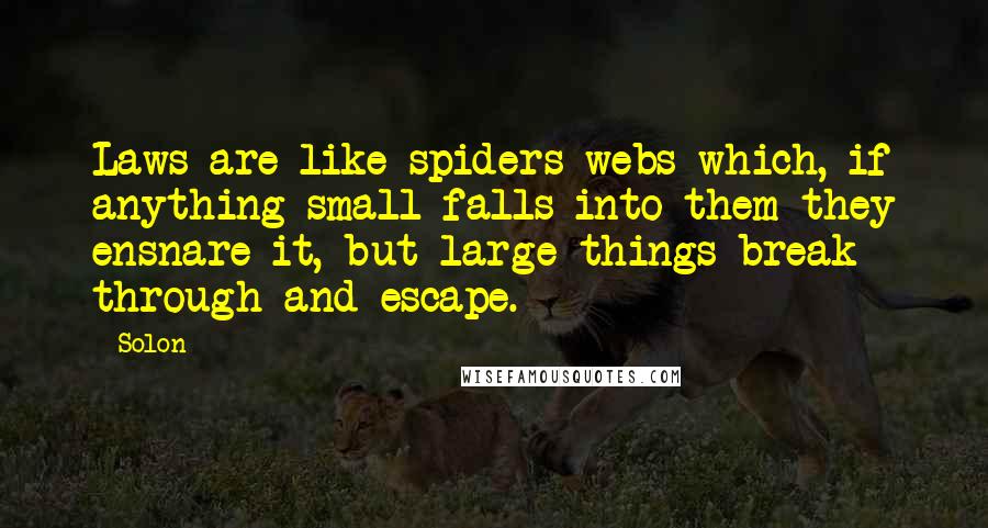 Solon Quotes: Laws are like spiders webs which, if anything small falls into them they ensnare it, but large things break through and escape.