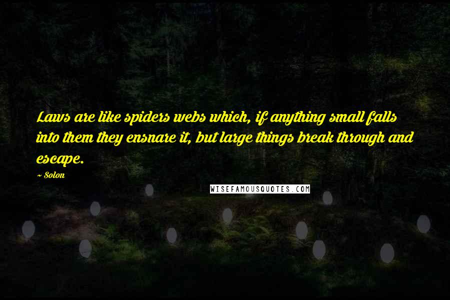 Solon Quotes: Laws are like spiders webs which, if anything small falls into them they ensnare it, but large things break through and escape.