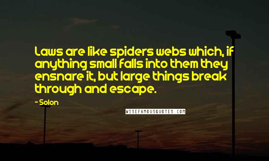 Solon Quotes: Laws are like spiders webs which, if anything small falls into them they ensnare it, but large things break through and escape.