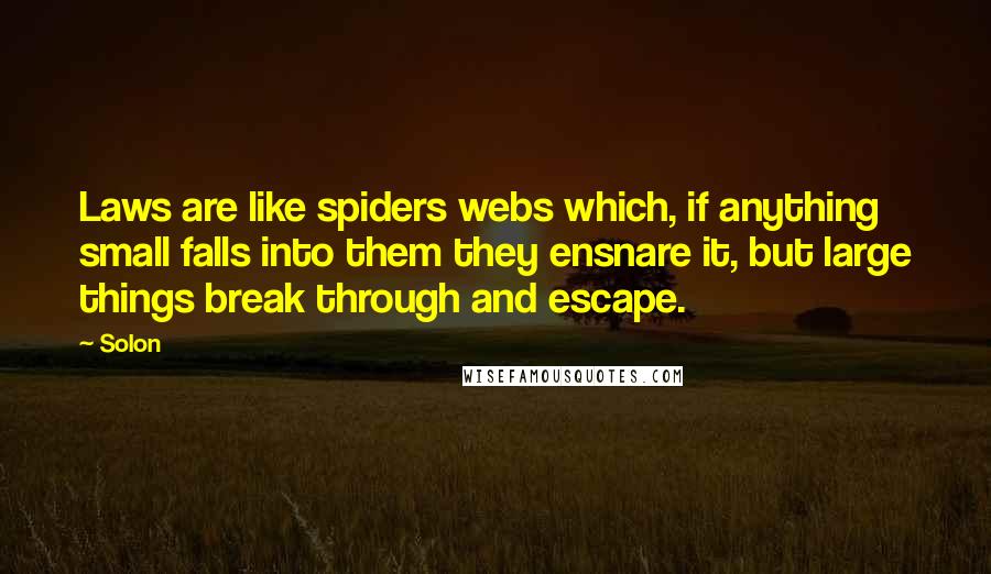 Solon Quotes: Laws are like spiders webs which, if anything small falls into them they ensnare it, but large things break through and escape.