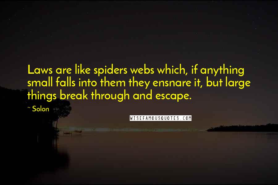 Solon Quotes: Laws are like spiders webs which, if anything small falls into them they ensnare it, but large things break through and escape.