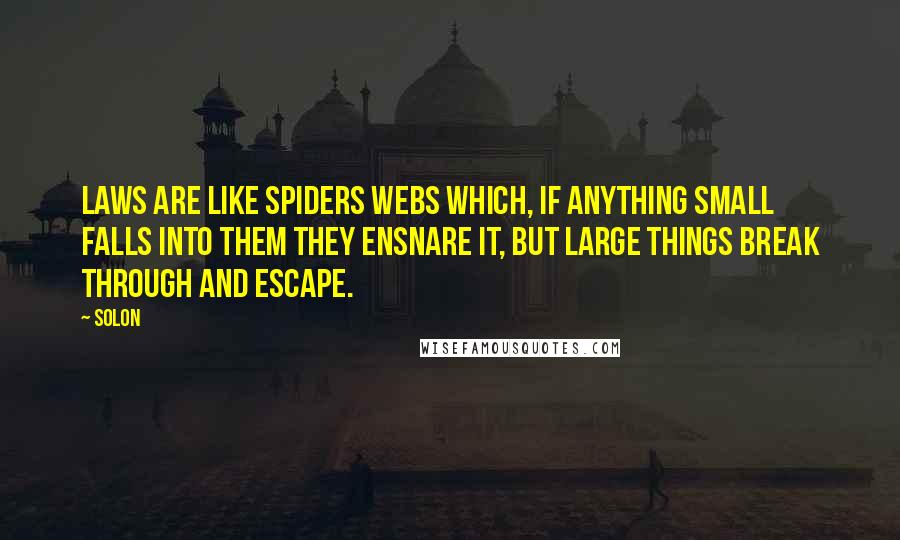 Solon Quotes: Laws are like spiders webs which, if anything small falls into them they ensnare it, but large things break through and escape.