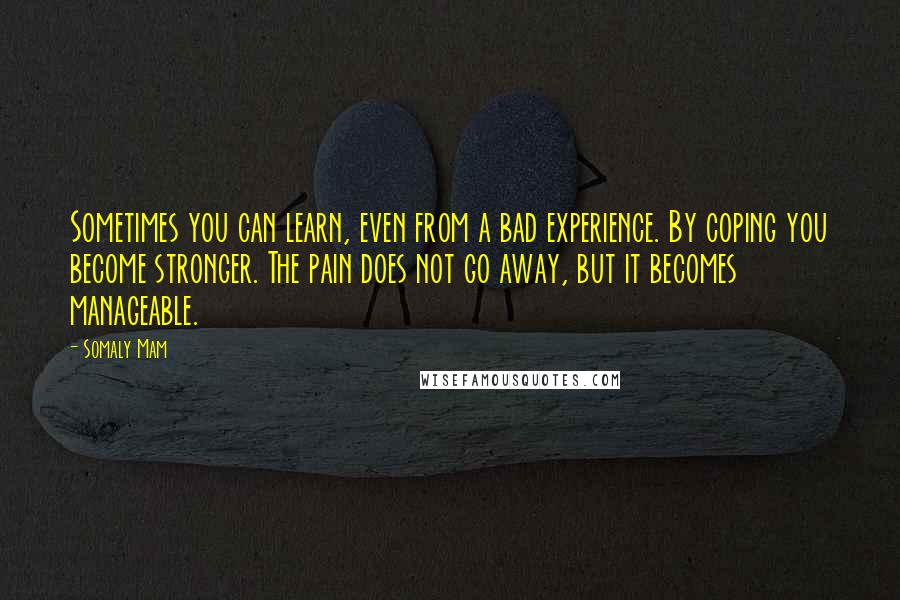 Somaly Mam Quotes: Sometimes you can learn, even from a bad experience. By coping you become stronger. The pain does not go away, but it becomes manageable.