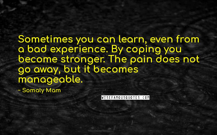 Somaly Mam Quotes: Sometimes you can learn, even from a bad experience. By coping you become stronger. The pain does not go away, but it becomes manageable.