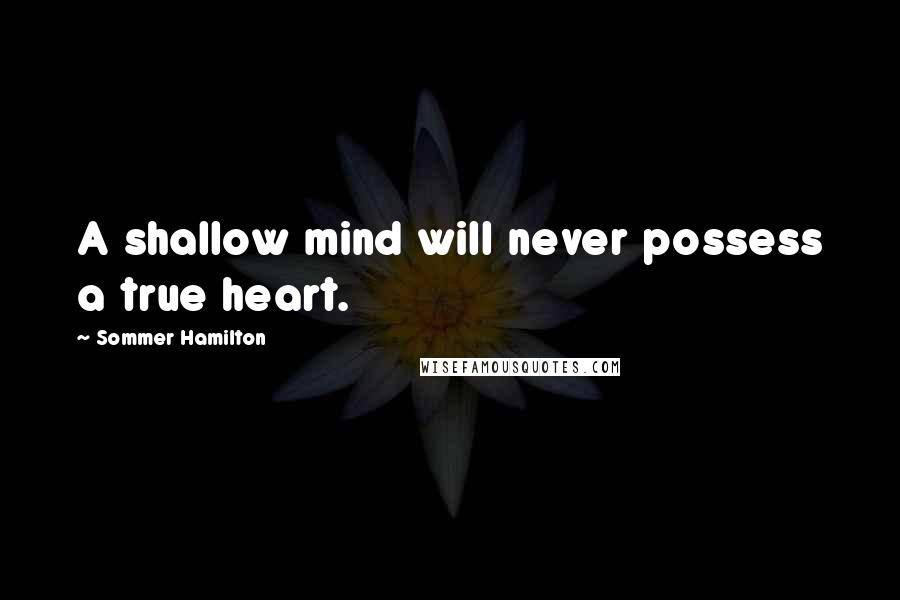 Sommer Hamilton Quotes: A shallow mind will never possess a true heart.