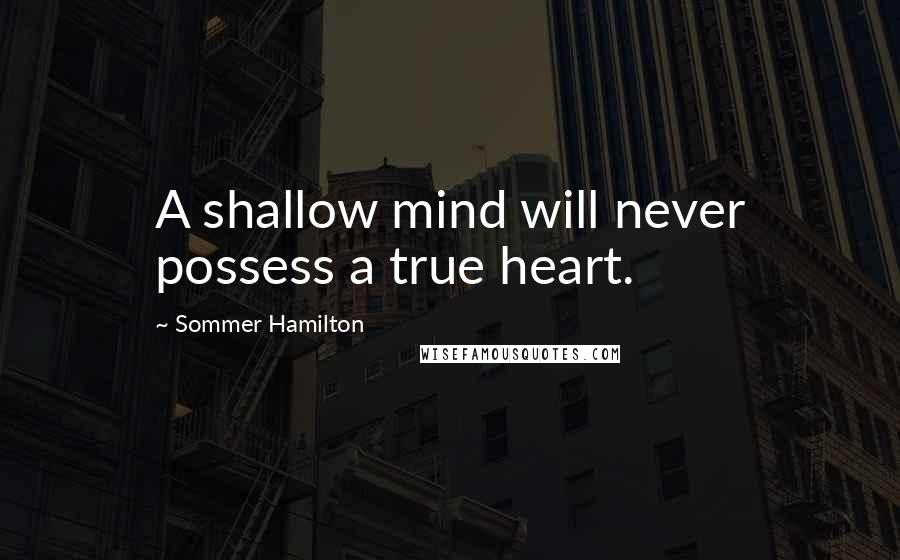 Sommer Hamilton Quotes: A shallow mind will never possess a true heart.