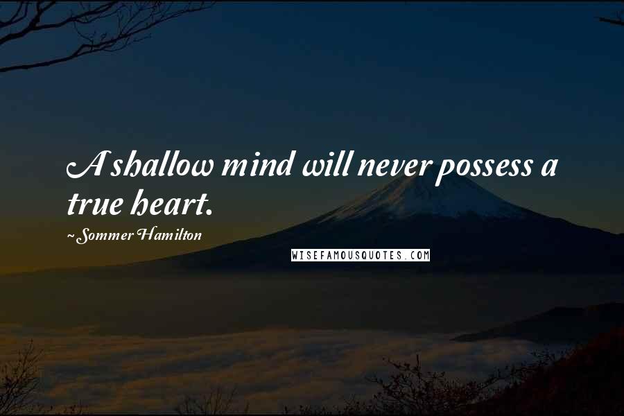 Sommer Hamilton Quotes: A shallow mind will never possess a true heart.